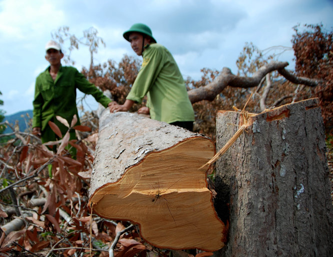Phải[-]có[-]trách[-]nhiệm[-]với[-]tương[-]lai